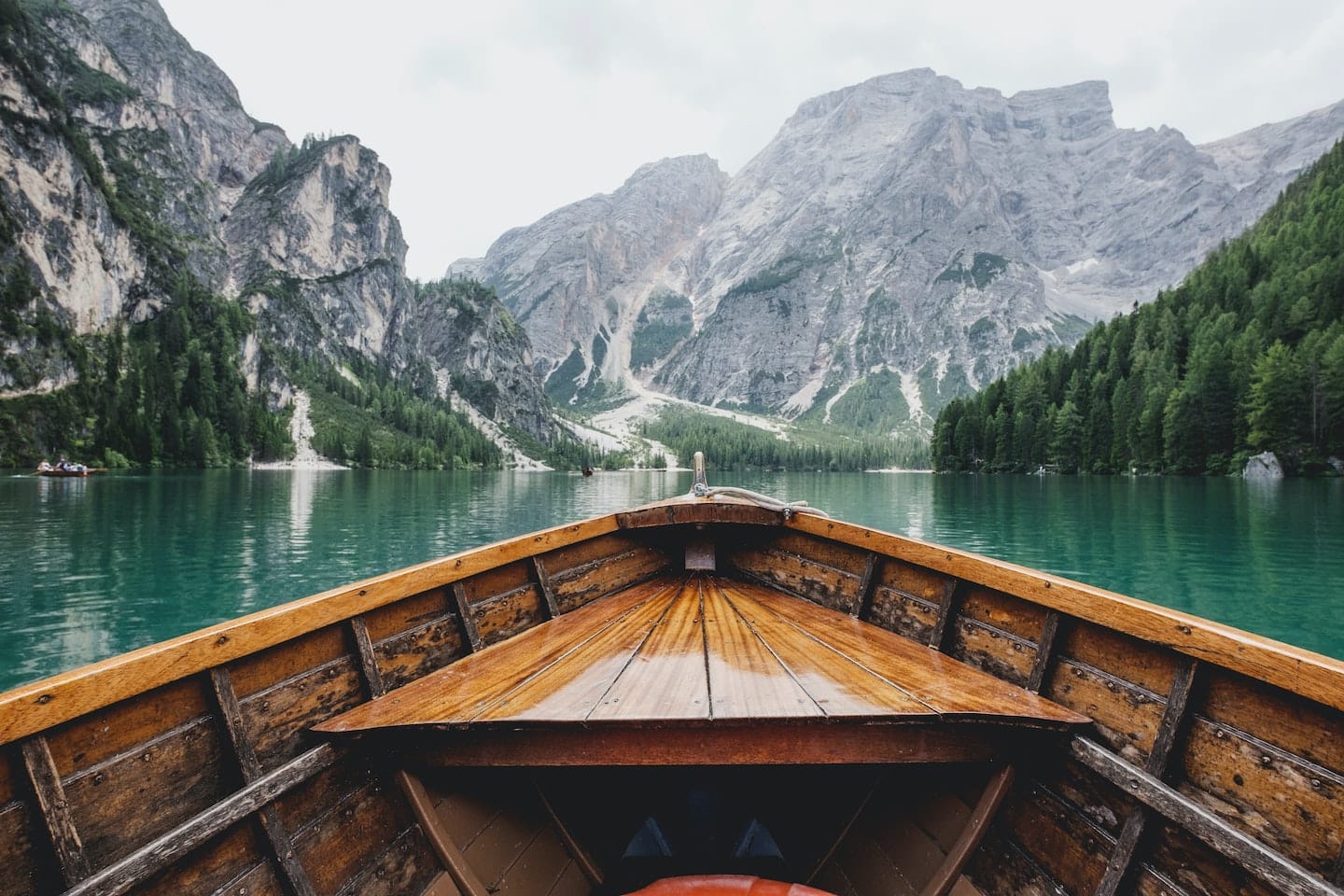 If we were meant to stay in one place, we’d have roots instead of feet. If we were meant to stay in one place, we’d have roots instead of feet.